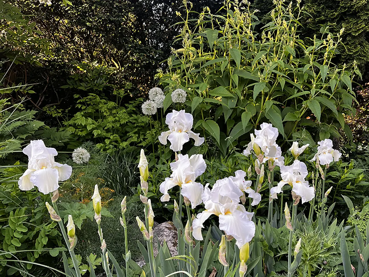 HimmelUndErde_Handwerk_Gruene-Raeume-14