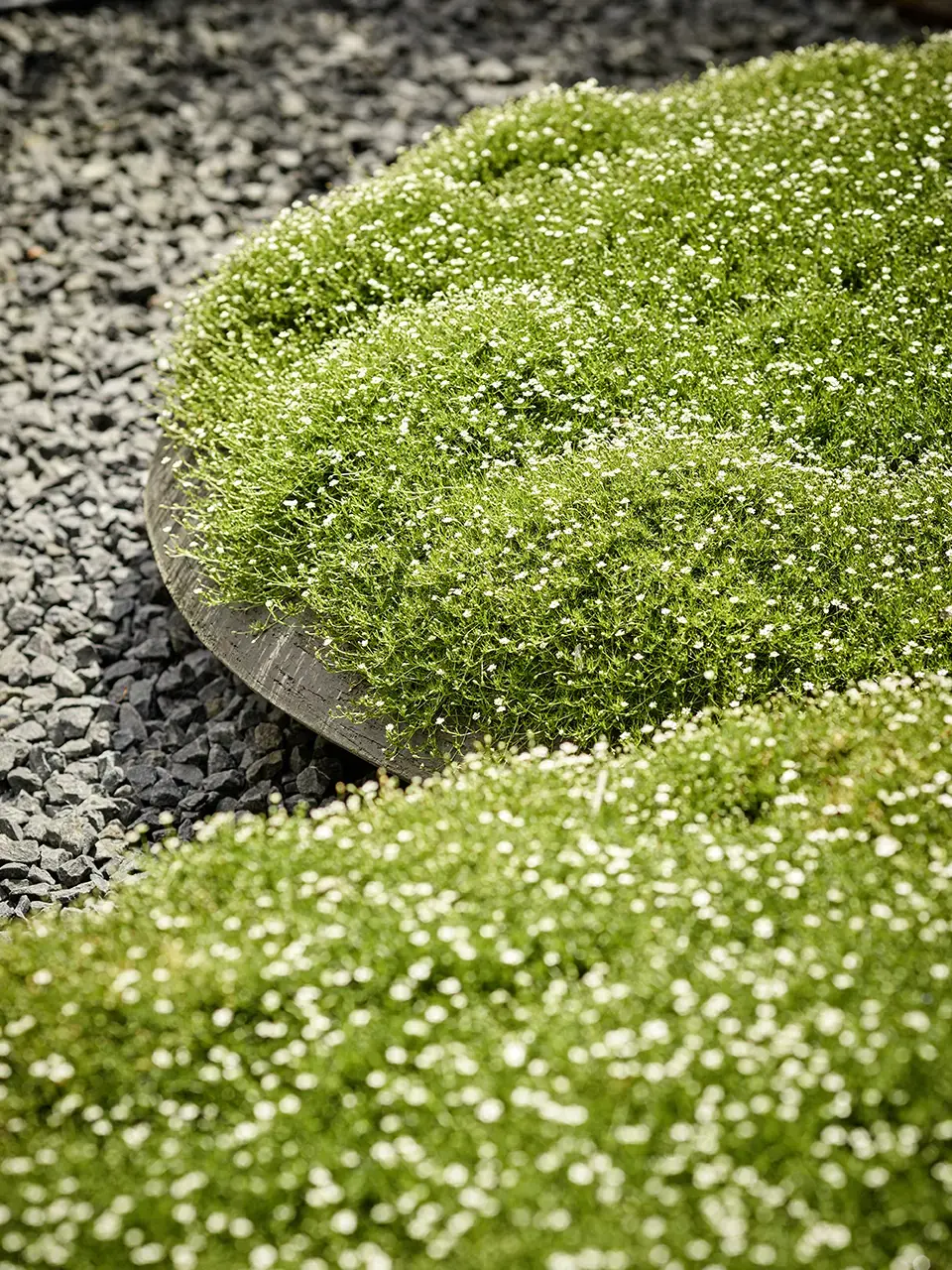 HimmelUndErde_Handwerk_Gruene-Raeume-6