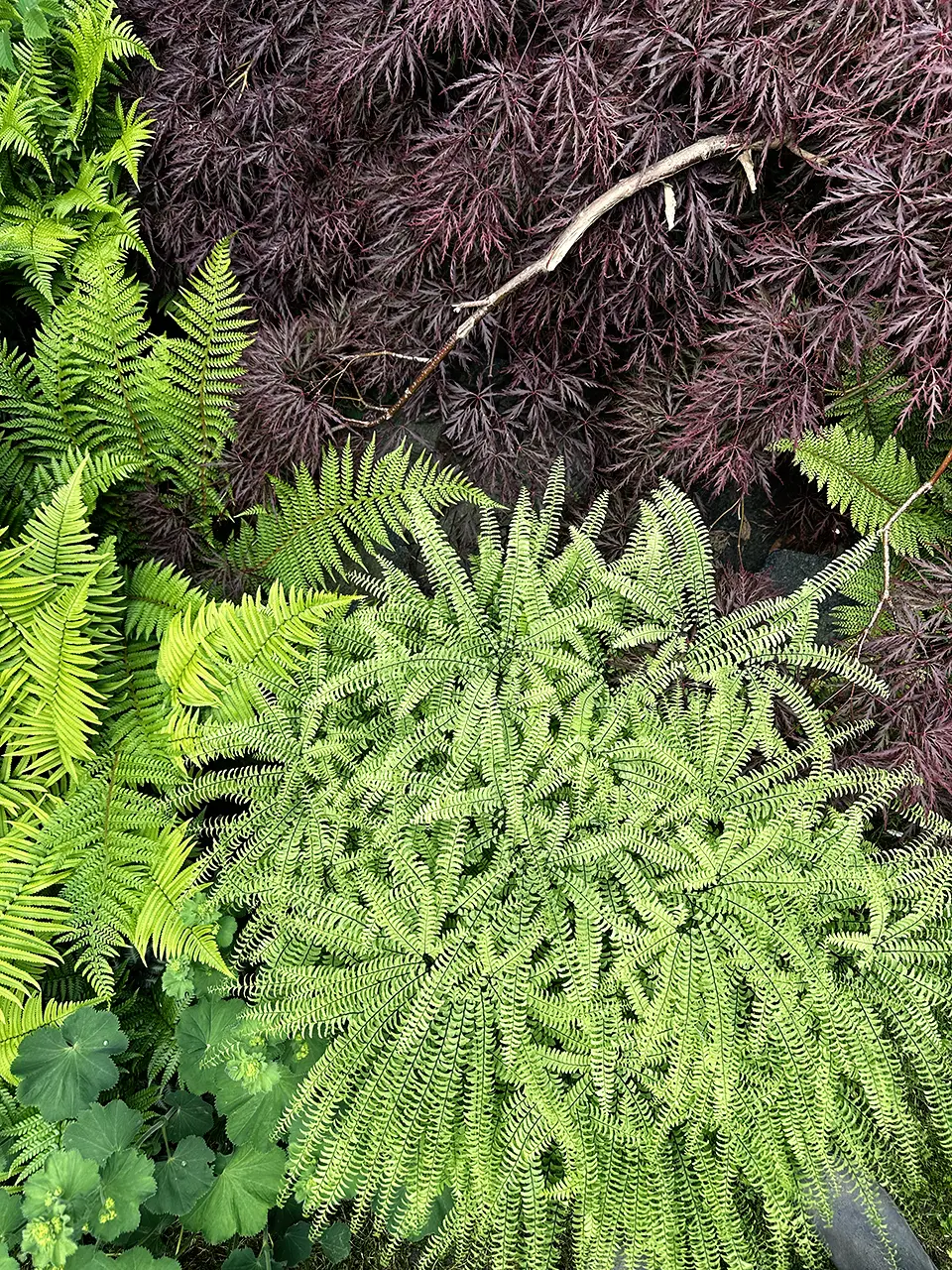 HimmelUndErde_Handwerk_Gruene-Raeume-7