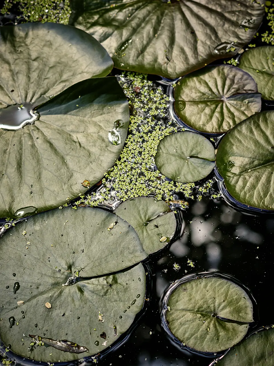 HimmelUndErde_Handwerk_Gruene-Raeume-9