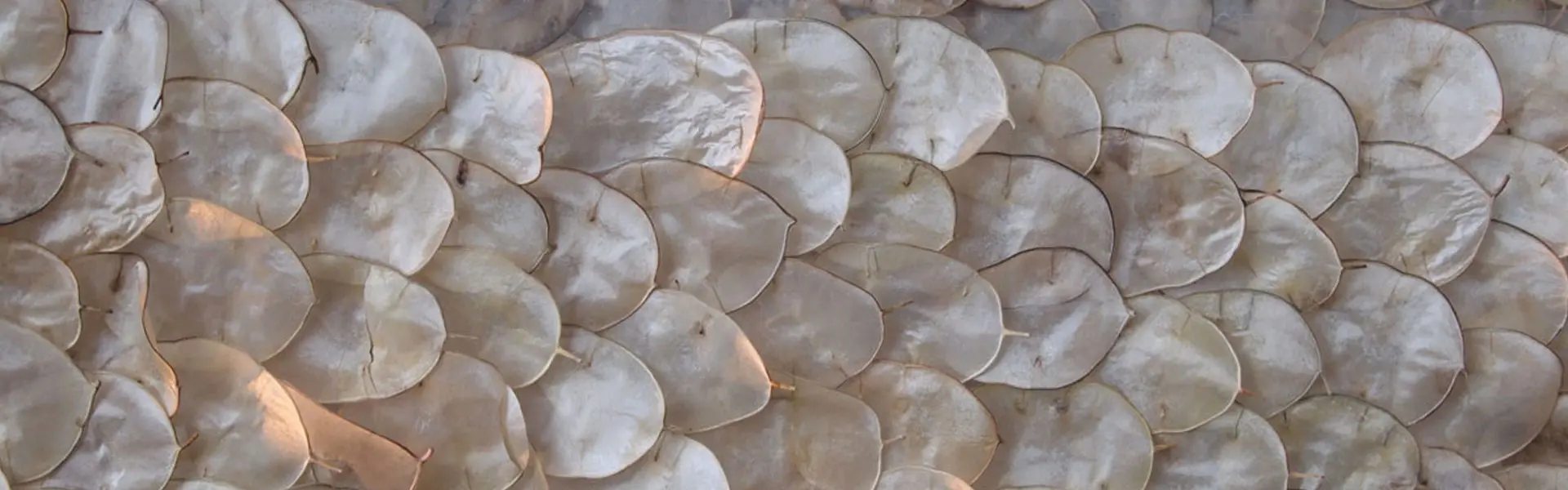 HimmelUndErde_Kontakt-1_Header